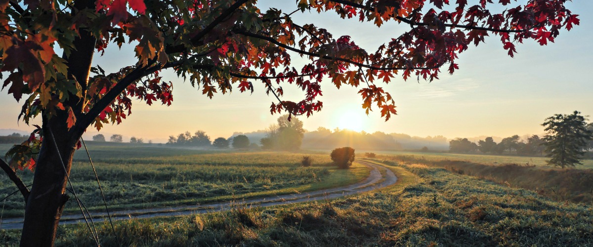 Country backroad